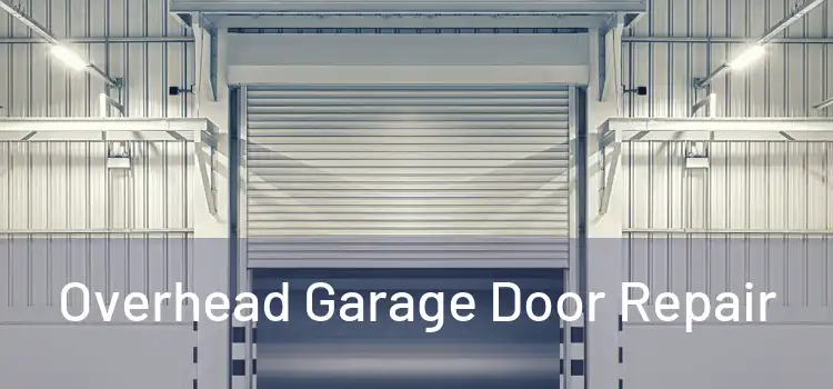  Overhead Garage Door Repair 